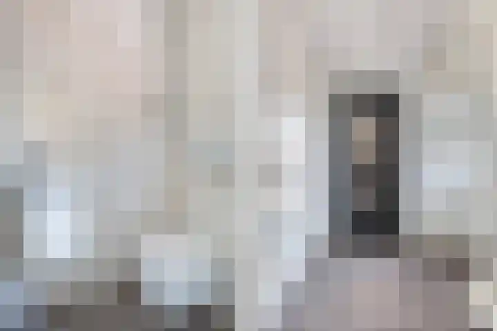De Ruyterstraat 27 Maasdijk thumbnail 7