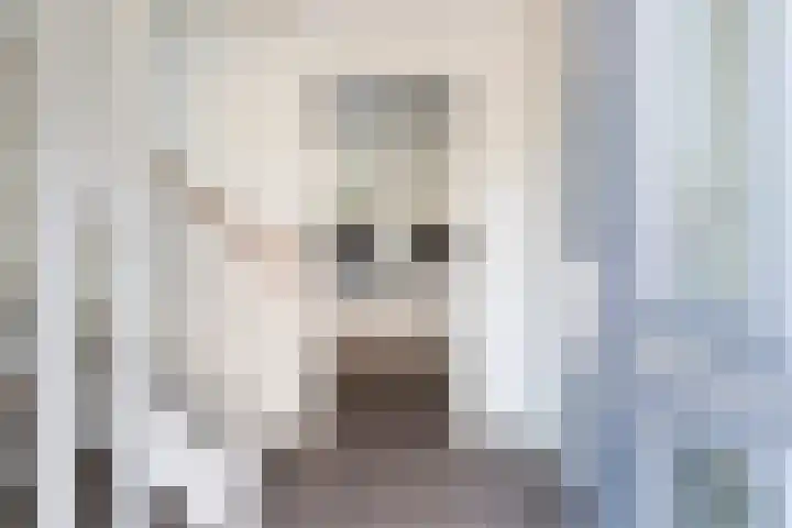 De Ruyterstraat 27 Maasdijk thumbnail 8
