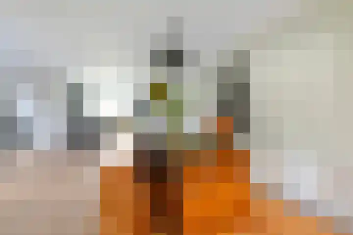 De Ruyterstraat 29 Huizen thumbnail 12