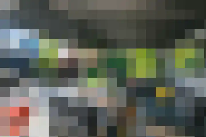De Ruyterstraat 29 Huizen thumbnail 47