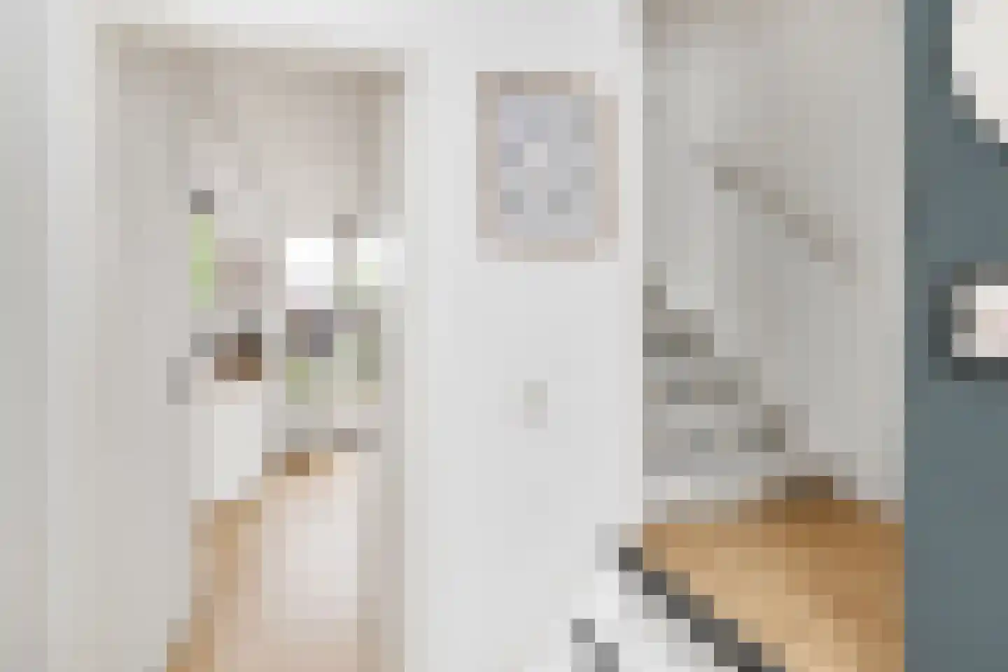De Ruyterstraat 29 Nijkerk thumbnail 7