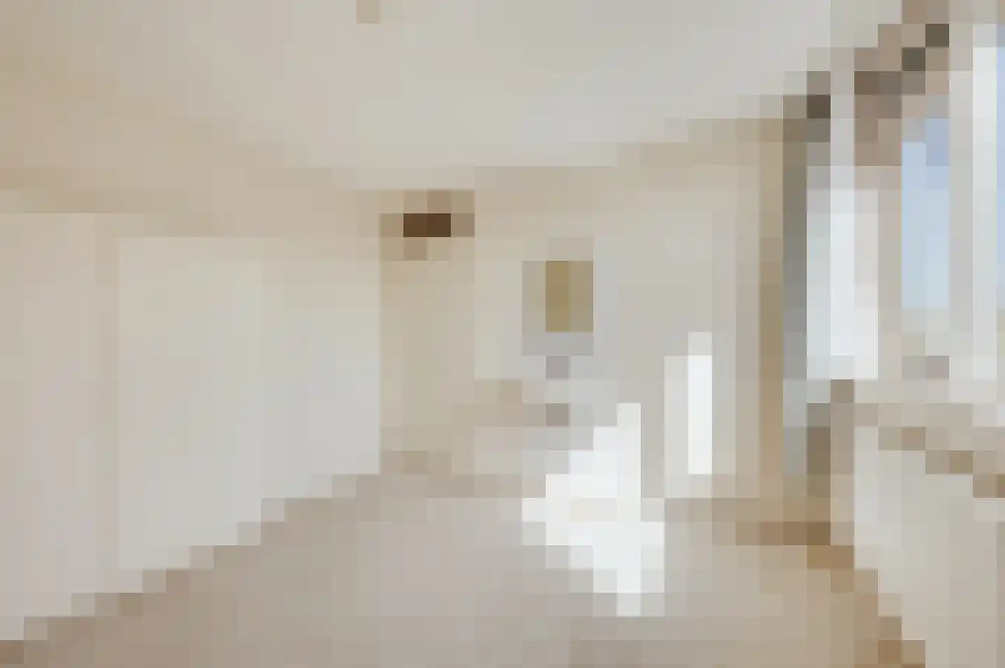 de Ruyterstraat 31 Koudekerke thumbnail 25
