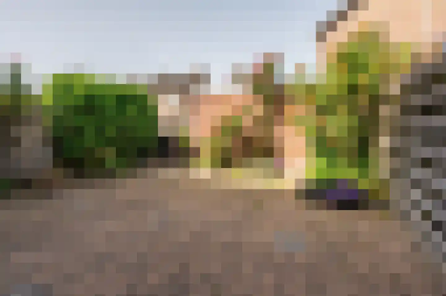 de Ruyterstraat 31 Koudekerke thumbnail 7