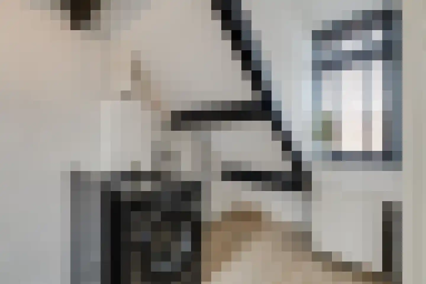 De Ruyterstraat 33 Leidschendam thumbnail 20