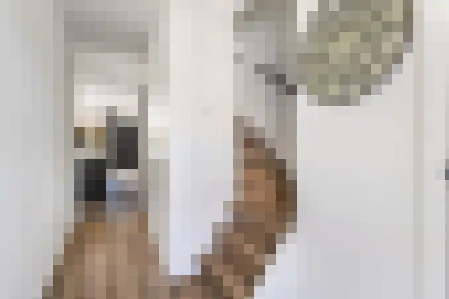 De Ruyterstraat 36 Nijkerk thumbnail 9