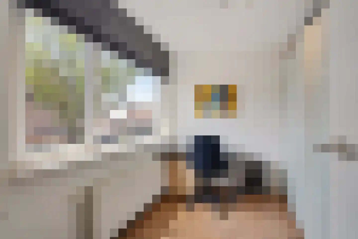 De Ruyterstraat 38 Zoetermeer thumbnail 33