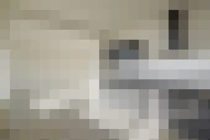 de Ruyterstraat 4 F 2 Zandvoort thumbnail 12