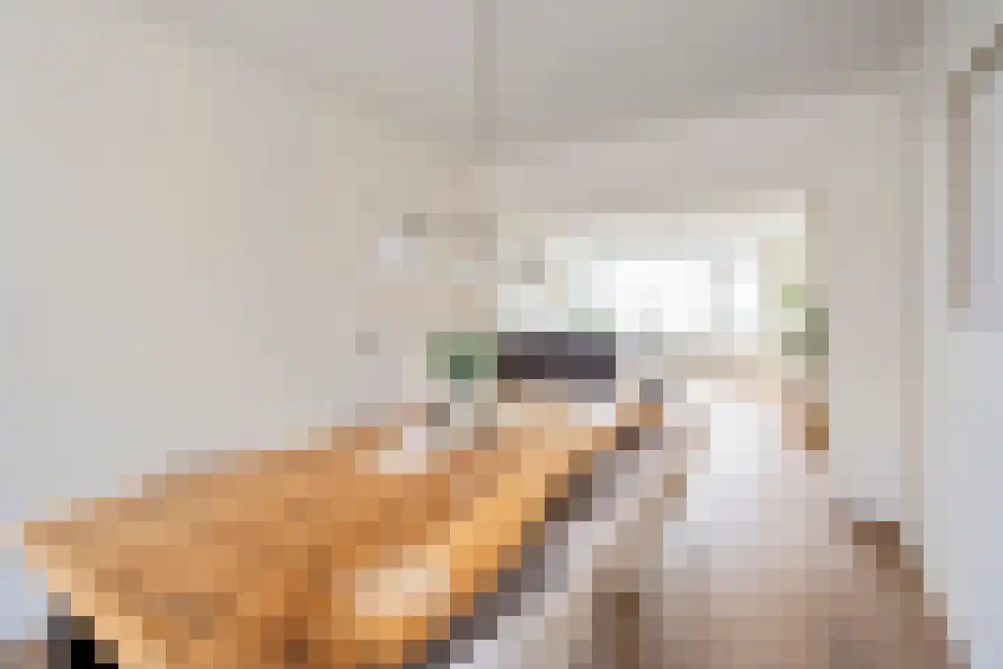 de Ruyterstraat 4 F 4 Zandvoort thumbnail 9