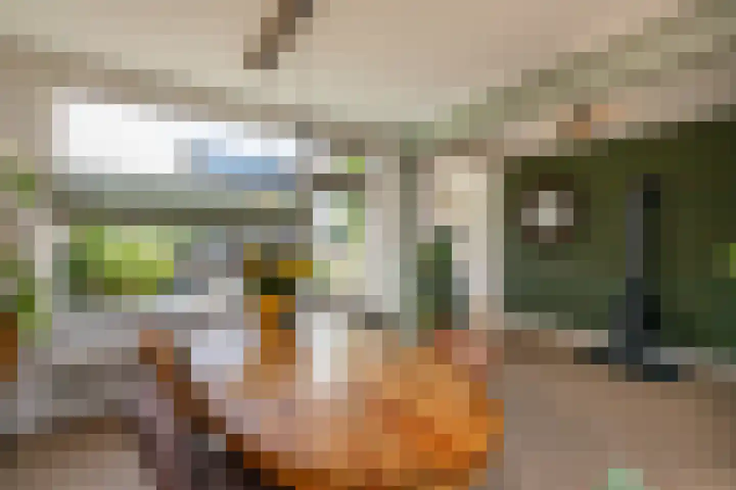 de Ruyterstraat 41 Koudekerke thumbnail 8