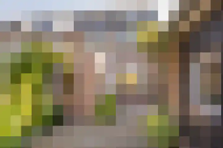 De Ruyterstraat 41 Nijkerk thumbnail 32