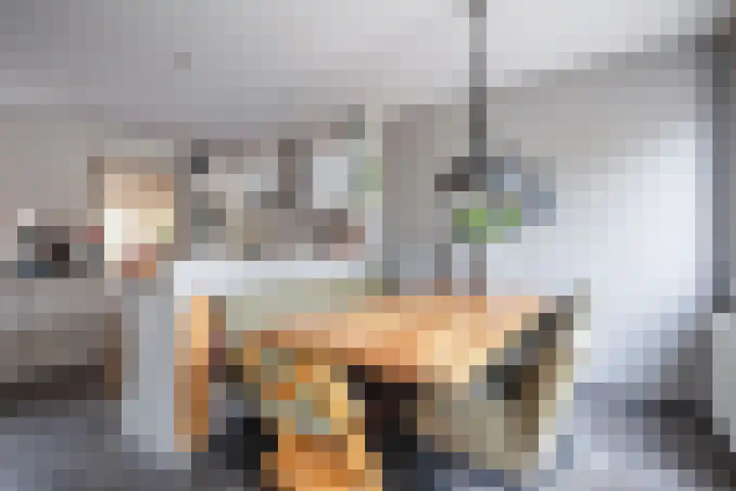 De Ruyterstraat 42 Oudeschild thumbnail 11