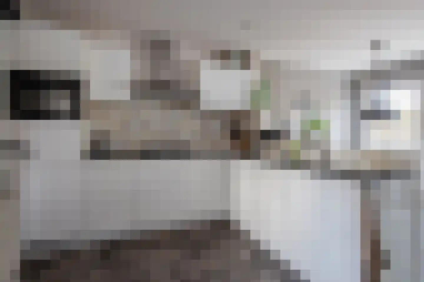 De Ruyterstraat 42 Oudeschild thumbnail 13