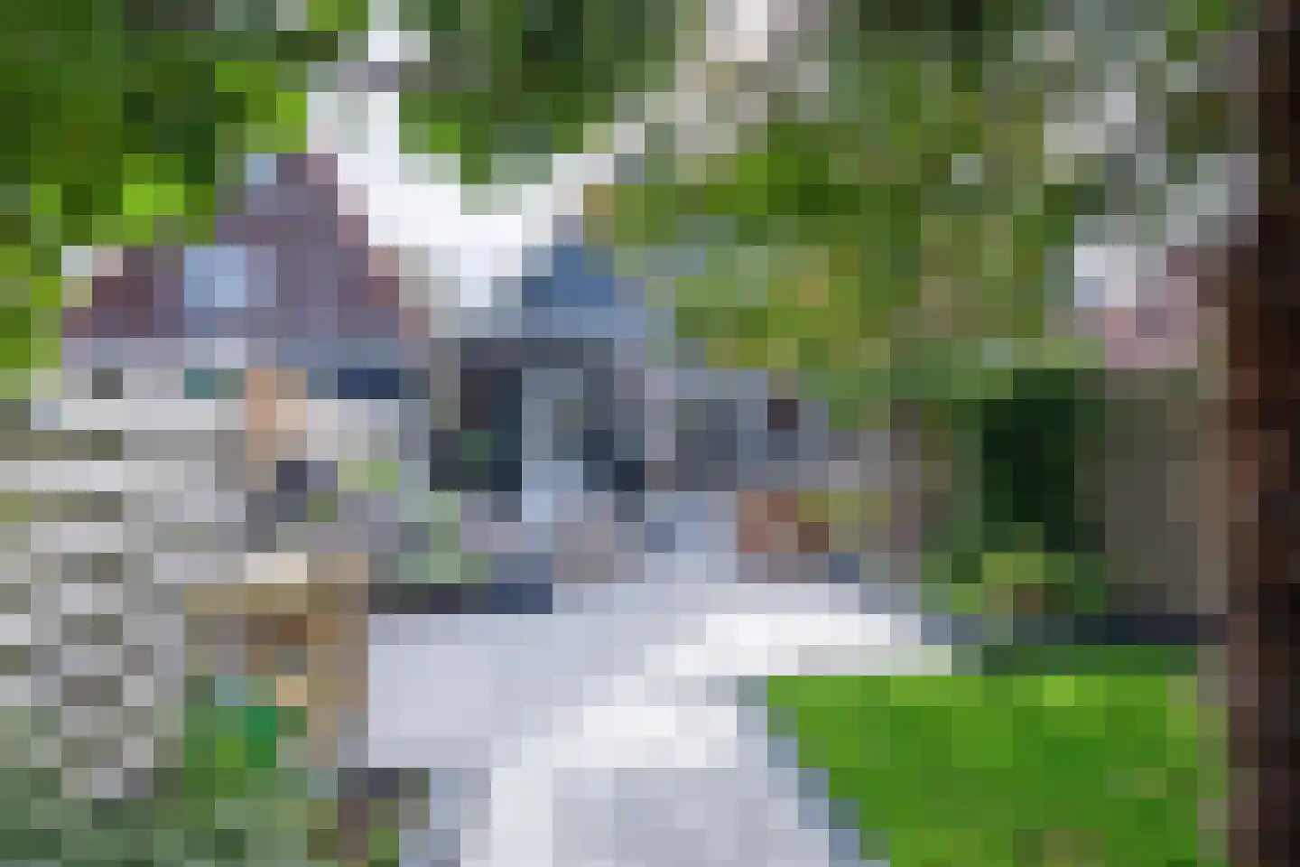 De Ruyterstraat 42 Oudeschild thumbnail 31