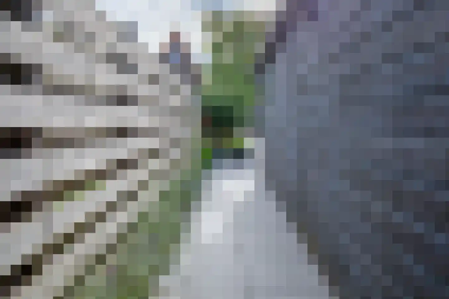 De Ruyterstraat 42 Oudeschild thumbnail 34