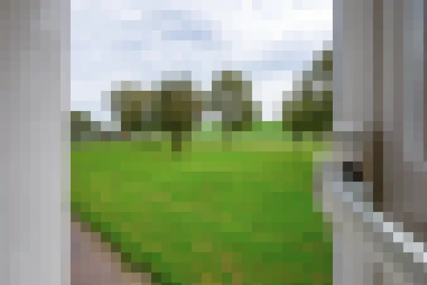 De Ruyterstraat 42 Oudeschild thumbnail 37