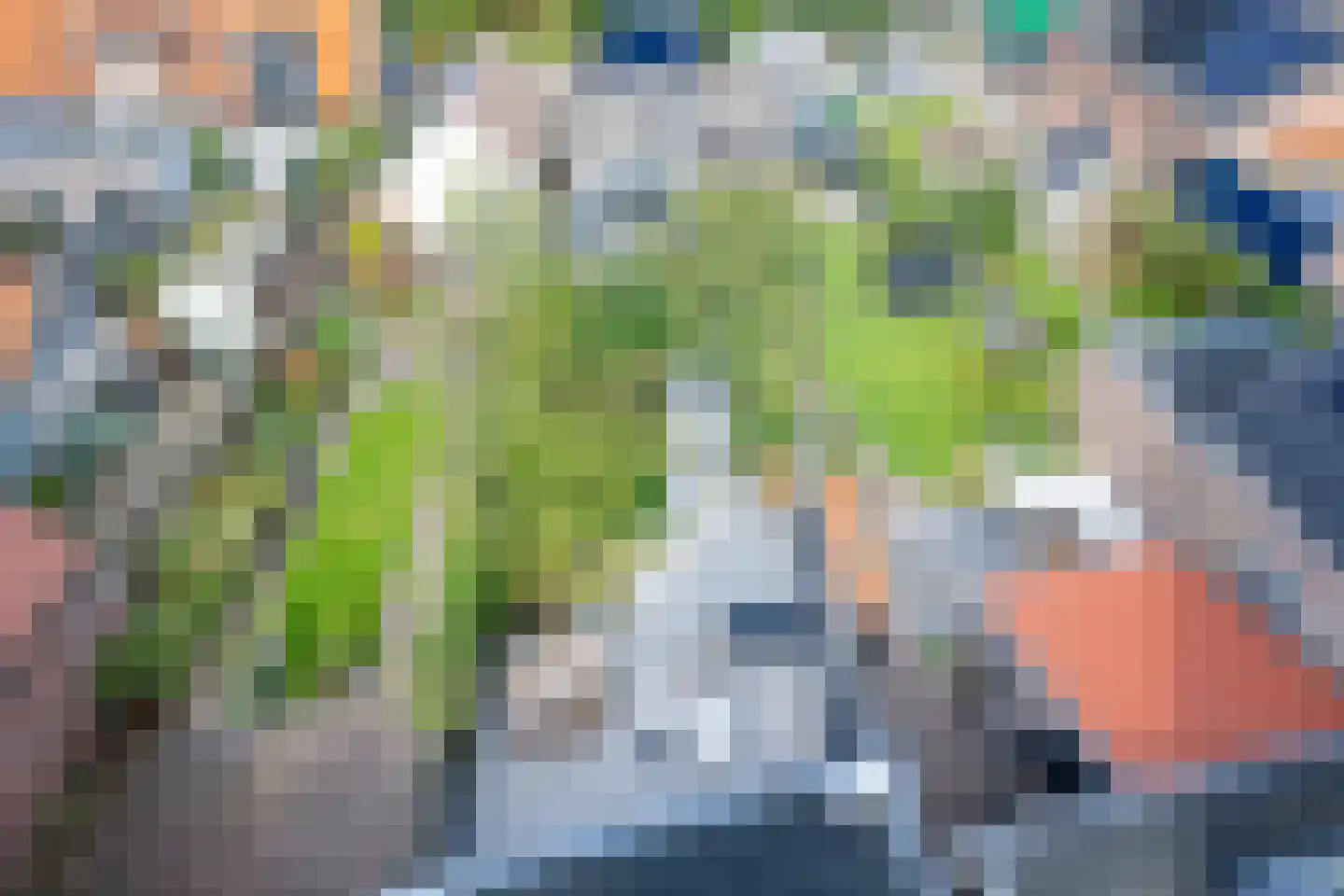 De Ruyterstraat 42 Oudeschild thumbnail 39