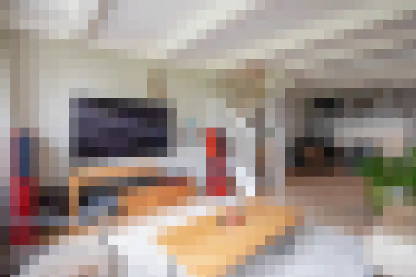 De Ruyterstraat 42 Oudeschild thumbnail 7