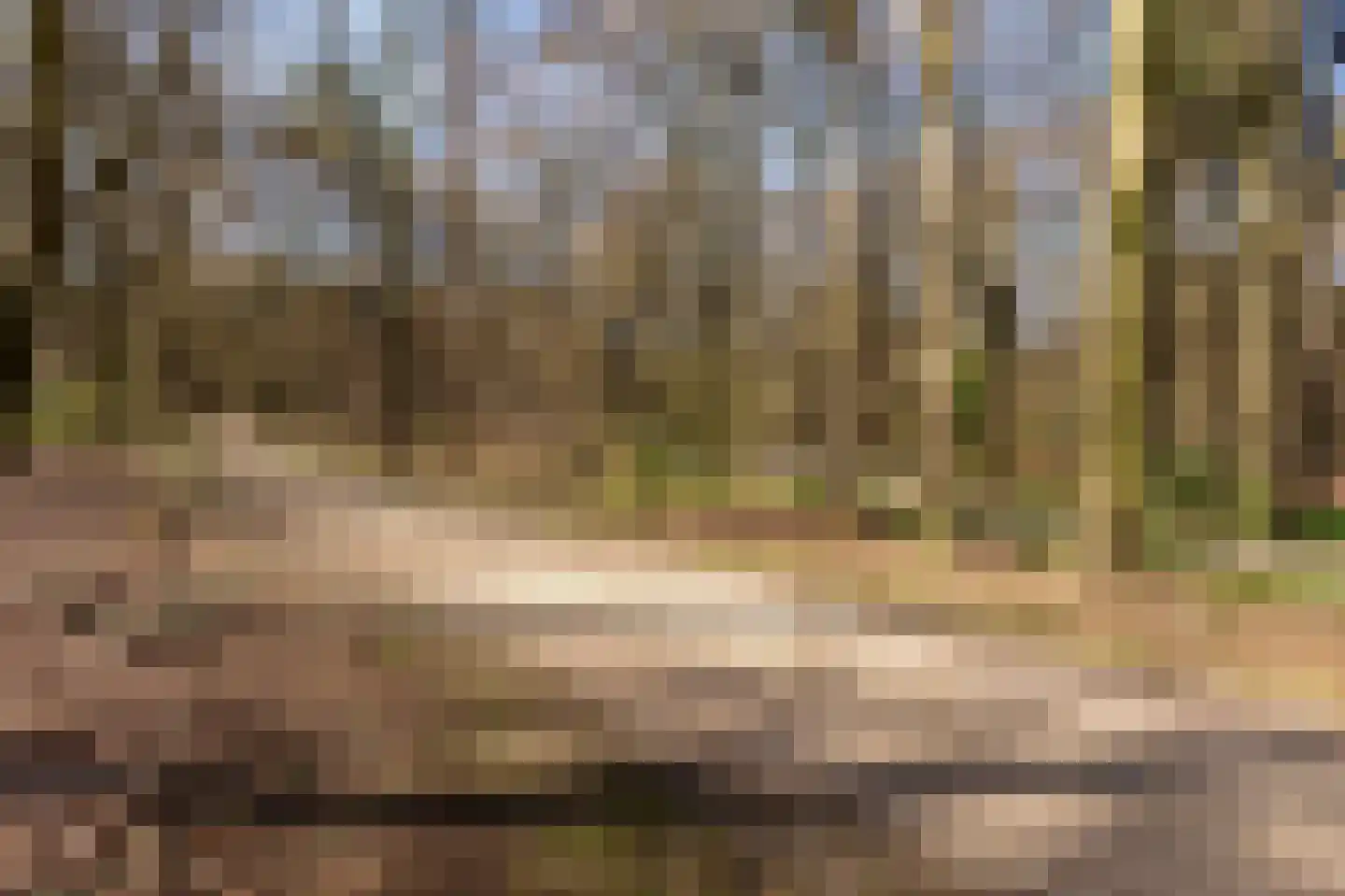 de Ruyterstraat 44 Groesbeek thumbnail 57
