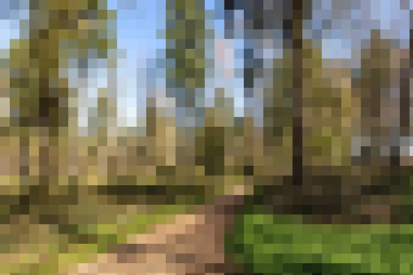 de Ruyterstraat 44 Groesbeek thumbnail 59