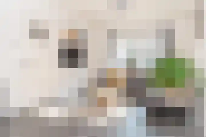 De Ruyterstraat 44 Zwolle thumbnail 6