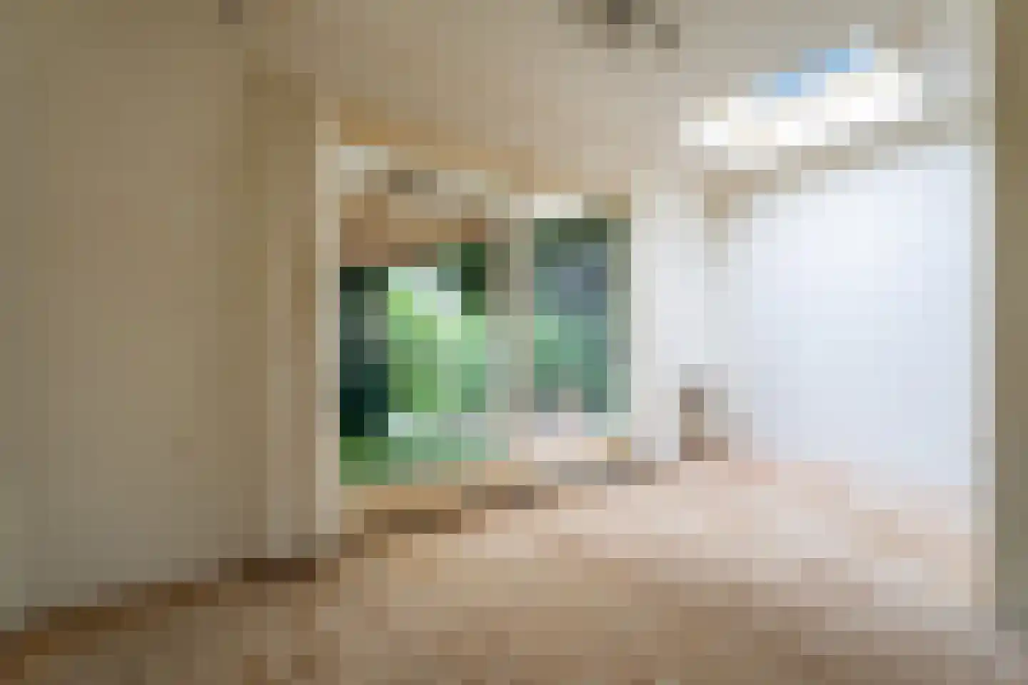 De Ruyterstraat 47 Capelle aan den IJssel thumbnail 15