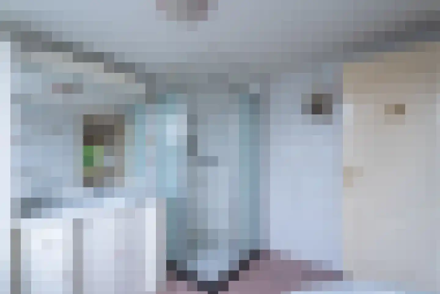 De Ruyterstraat 47 Capelle aan den IJssel thumbnail 34