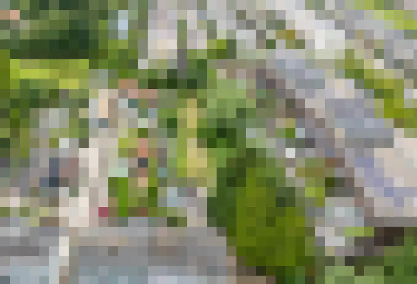 De Ruyterstraat 47 Capelle aan den IJssel thumbnail 6