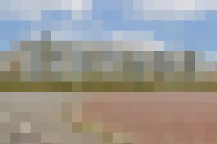 de Ruyterstraat 50 Zandvoort thumbnail 4