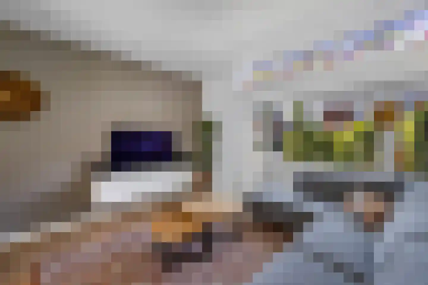 De Ruyterstraat 54 Huizen thumbnail 10
