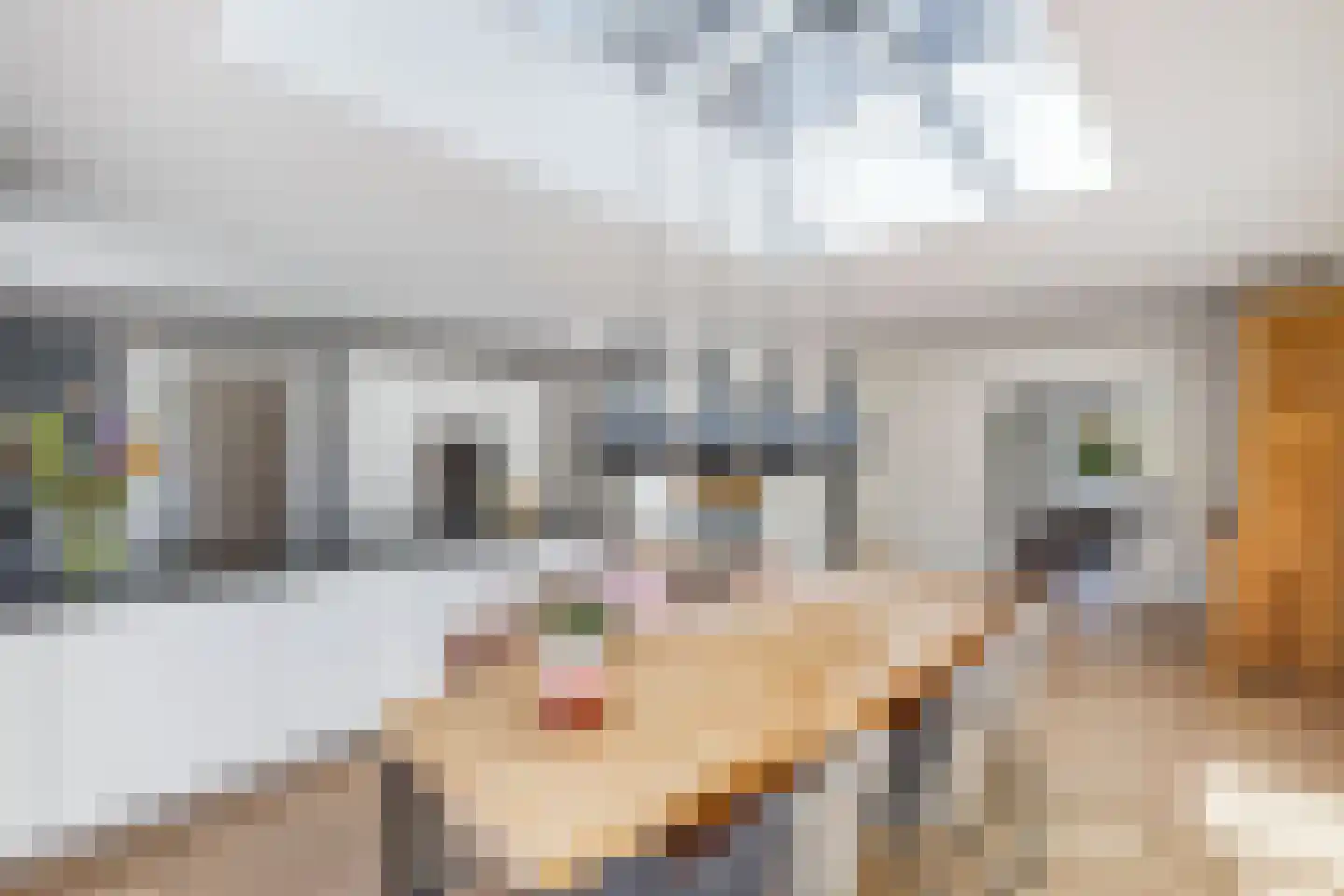 De Ruyterstraat 54 Huizen thumbnail 15