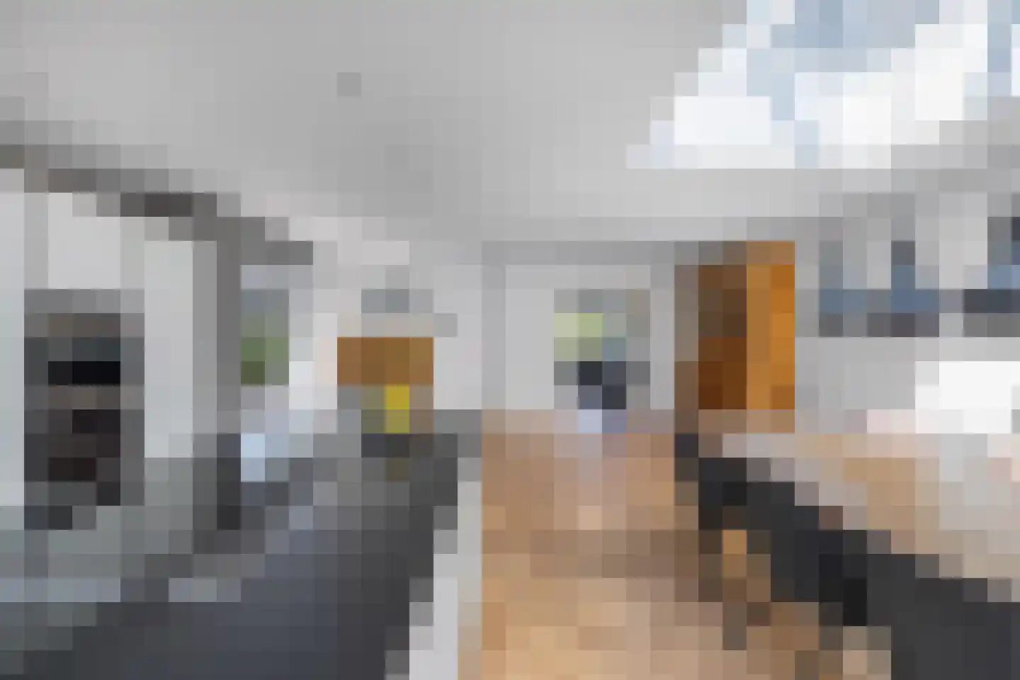 De Ruyterstraat 54 Huizen thumbnail 16