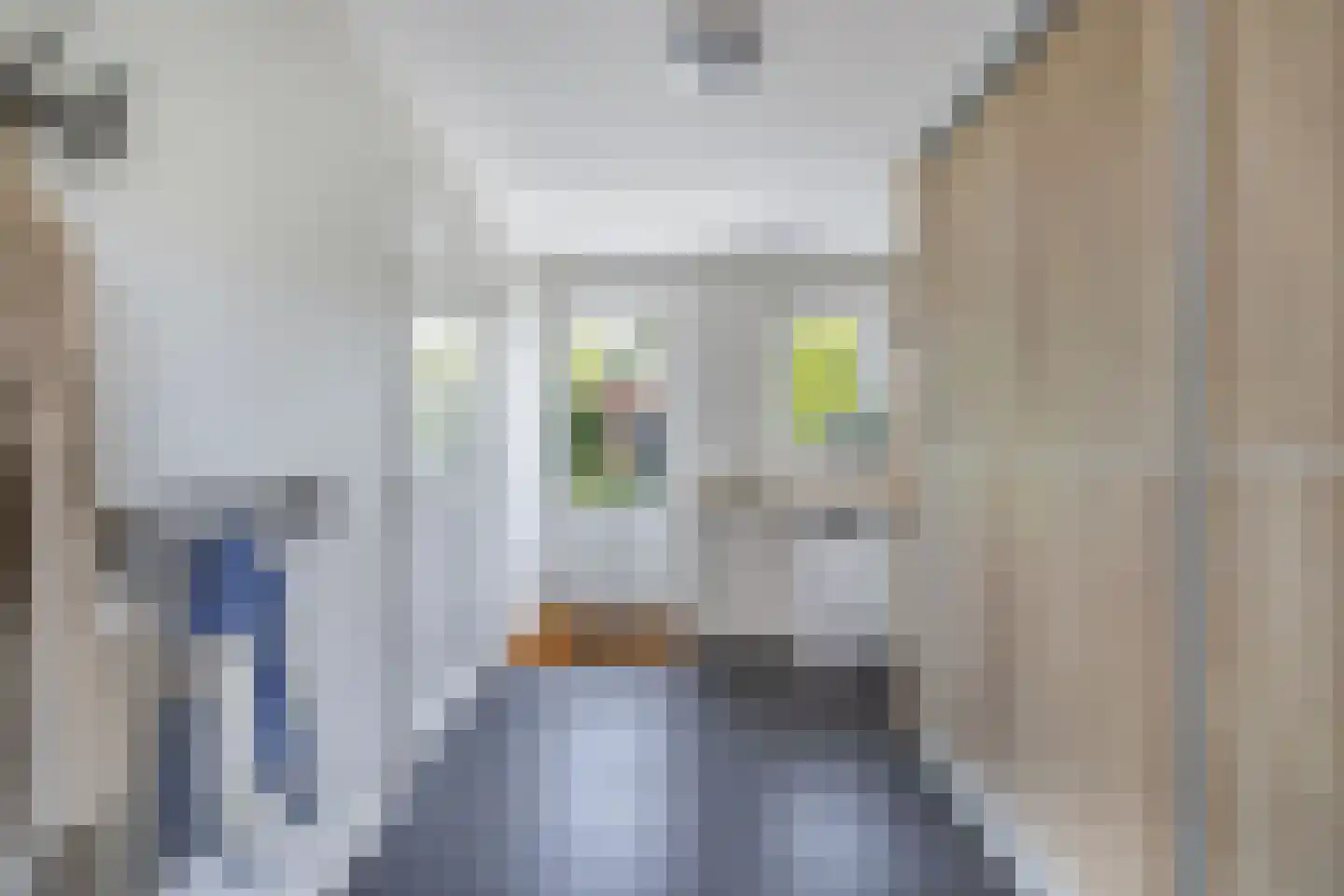 De Ruyterstraat 54 Huizen thumbnail 22