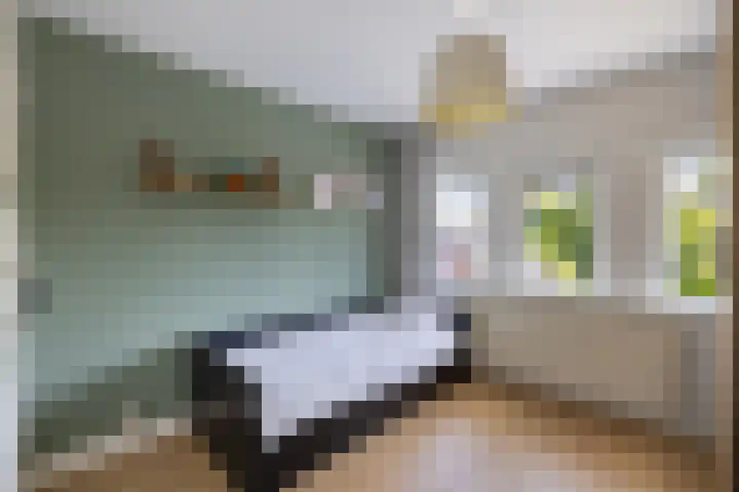 De Ruyterstraat 54 Huizen thumbnail 32