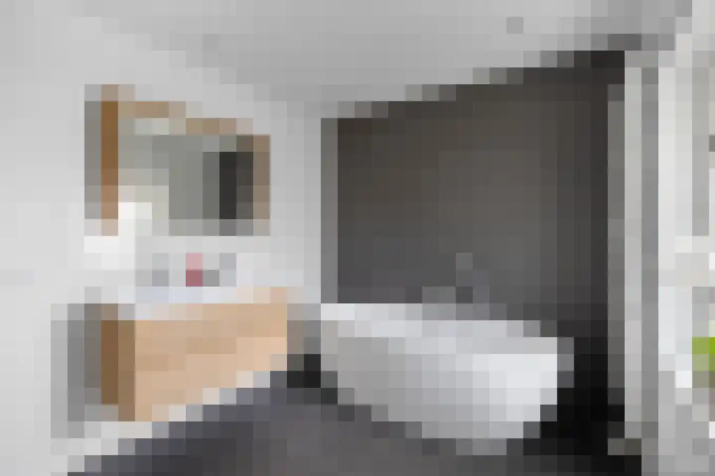 De Ruyterstraat 54 Huizen thumbnail 34
