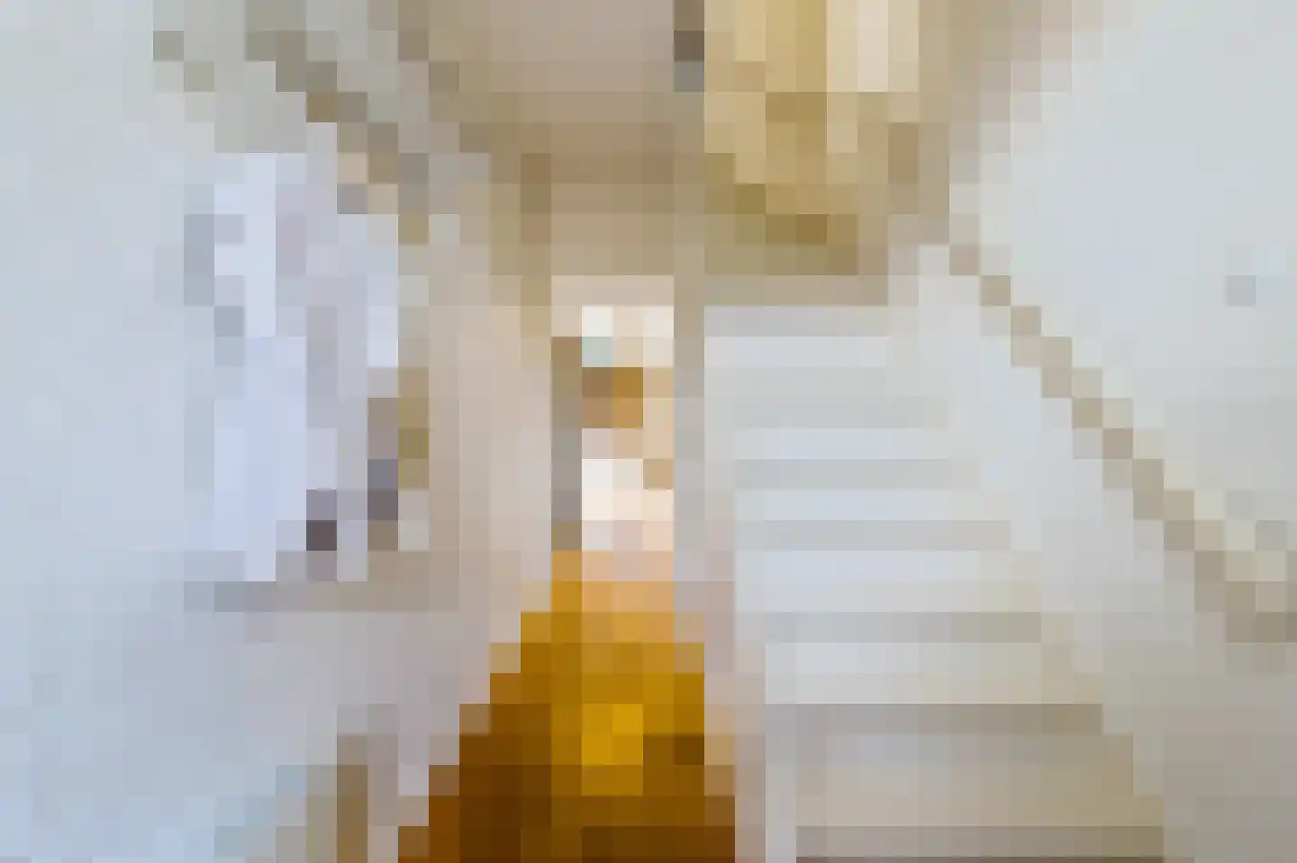 De Ruyterstraat 56 Huizen thumbnail 18
