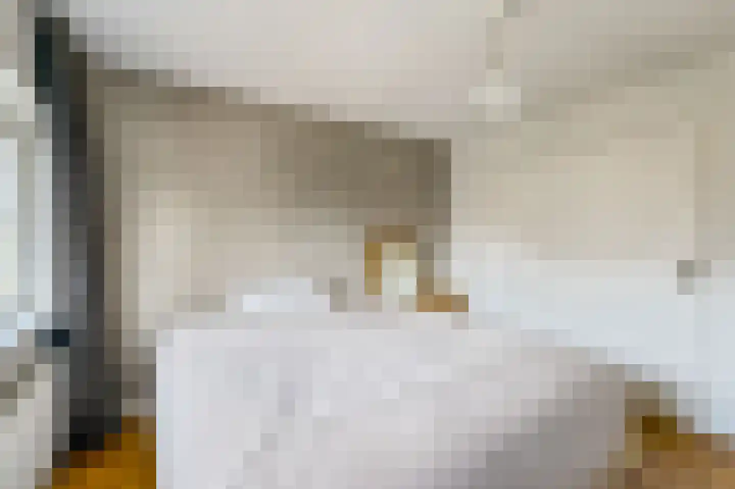 De Ruyterstraat 56 Huizen thumbnail 21