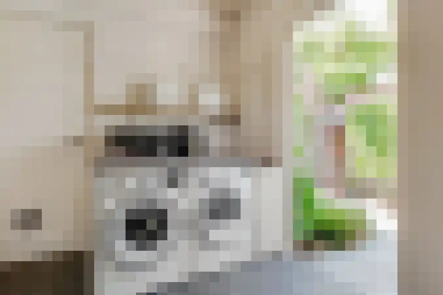 De Ruyterstraat 56 Huizen thumbnail 23
