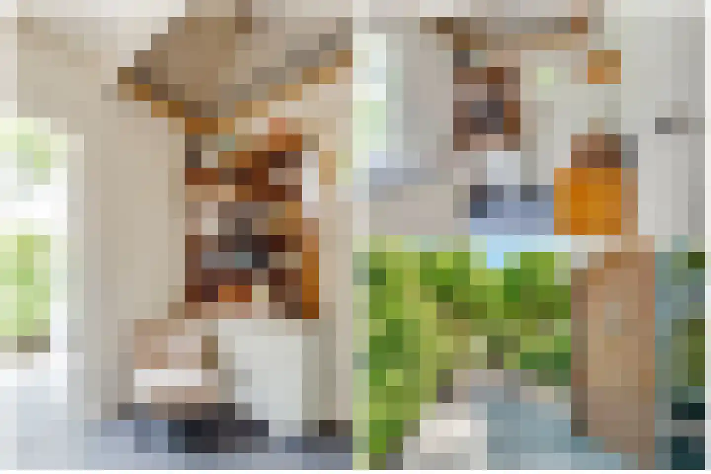 De Ruyterstraat 56 Huizen thumbnail 24