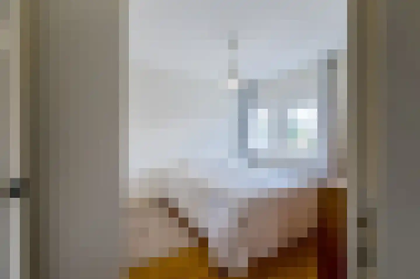 De Ruyterstraat 56 Huizen thumbnail 24