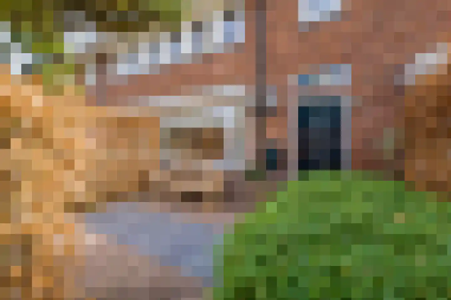 De Ruyterstraat 56 Huizen thumbnail 5