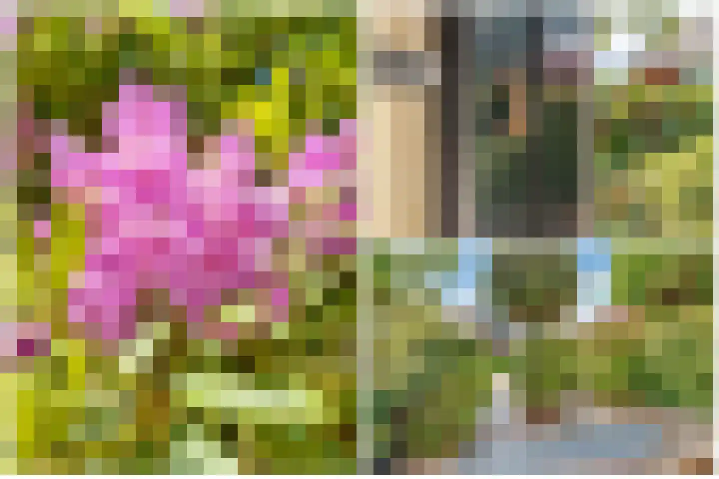 De Ruyterstraat 56 Huizen thumbnail 6