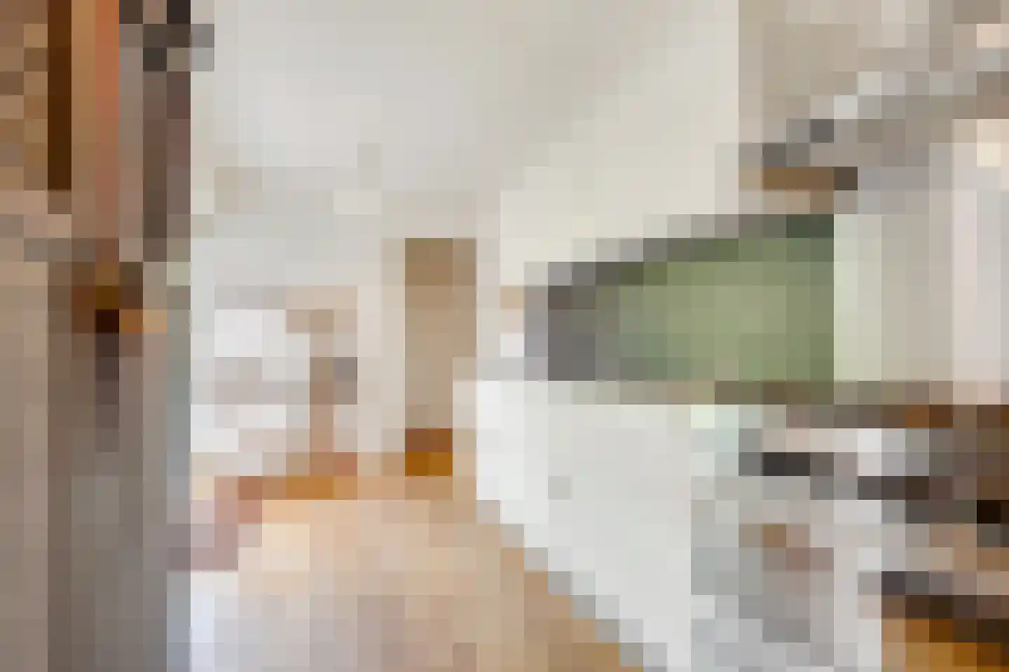 De Ruyterstraat 56 Huizen thumbnail 8