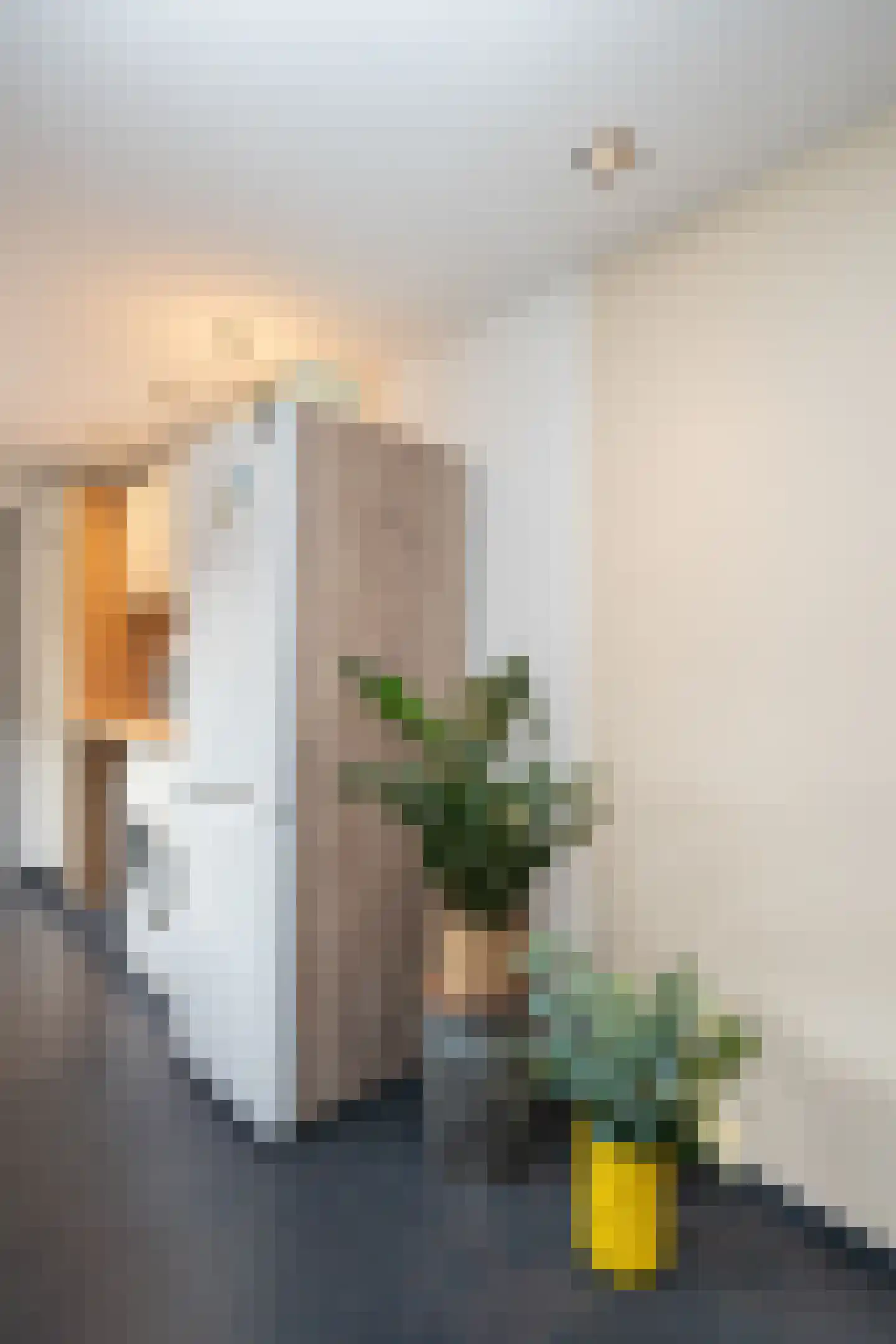 De Ruyterstraat 58 Oudeschild thumbnail 13