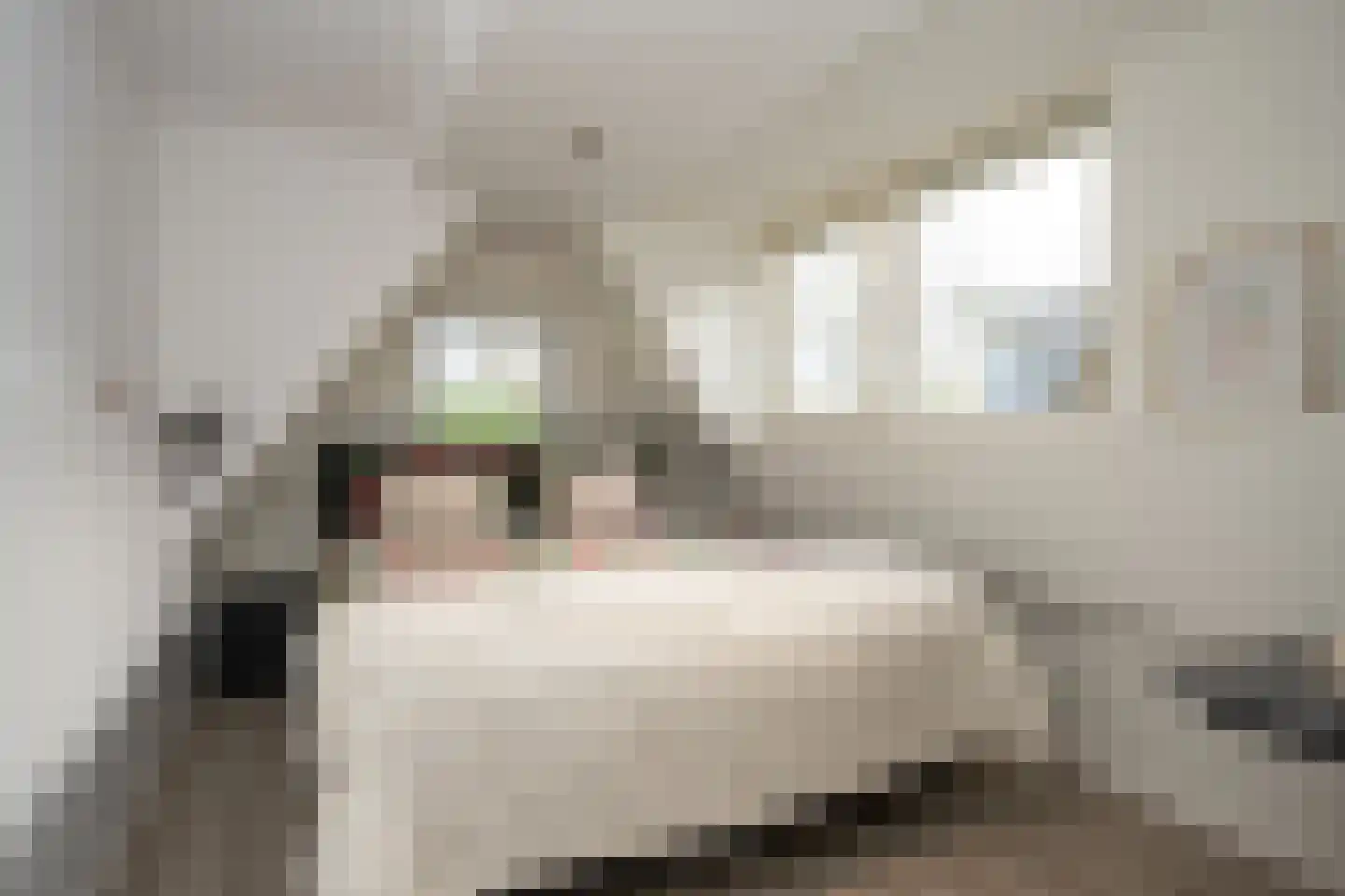 De Ruyterstraat 58 Oudeschild thumbnail 24