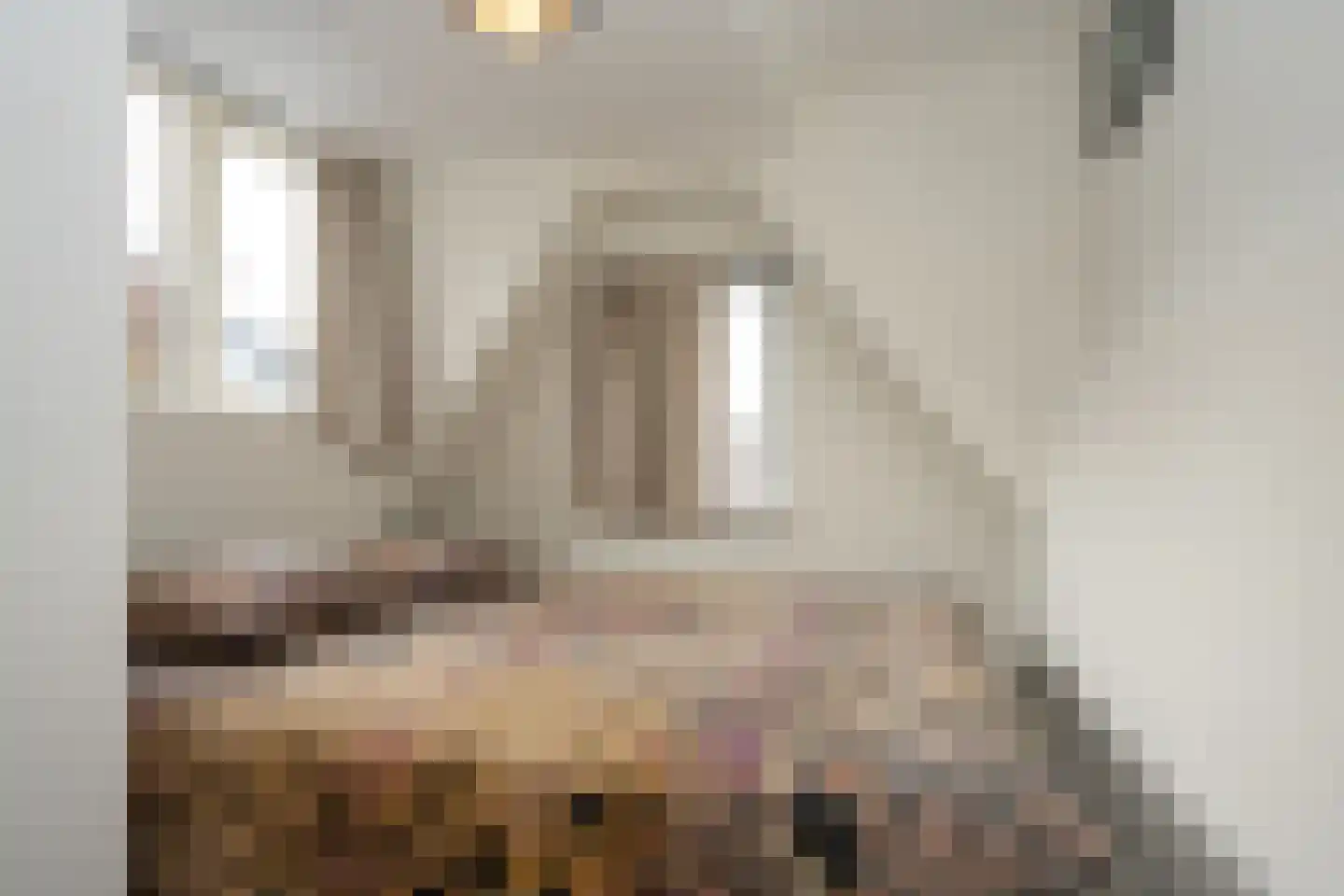 De Ruyterstraat 58 Oudeschild thumbnail 28