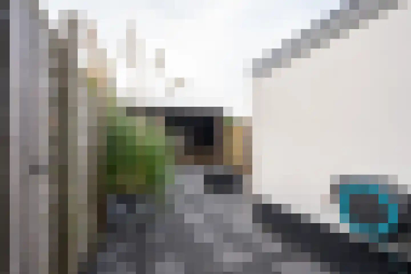 De Ruyterstraat 58 Oudeschild thumbnail 29