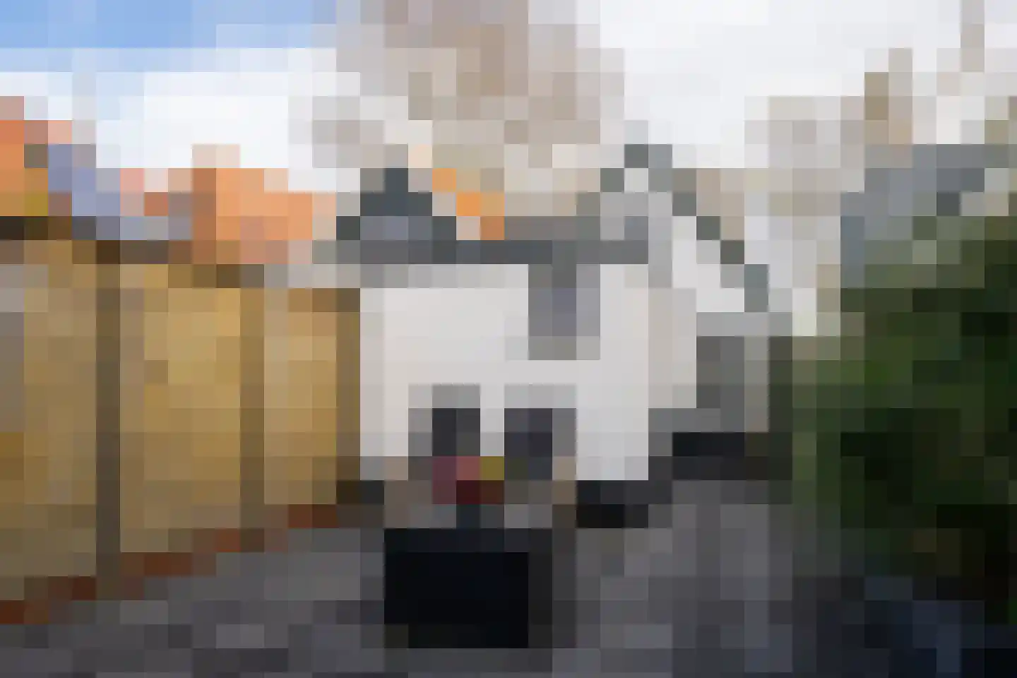 De Ruyterstraat 58 Oudeschild thumbnail 30