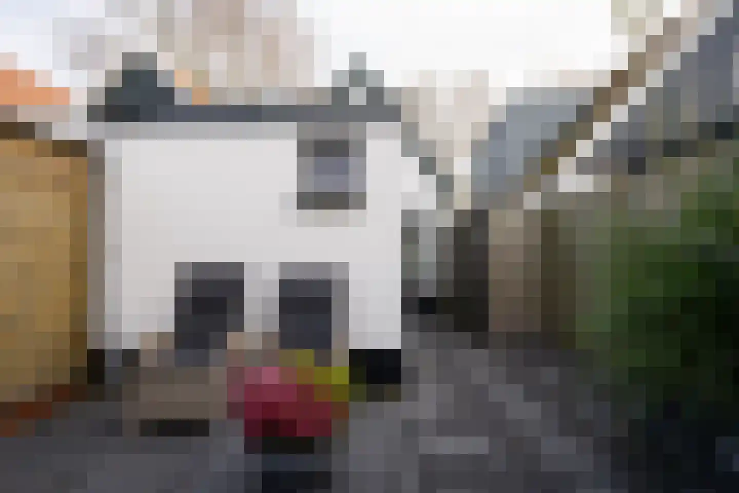 De Ruyterstraat 58 Oudeschild thumbnail 33