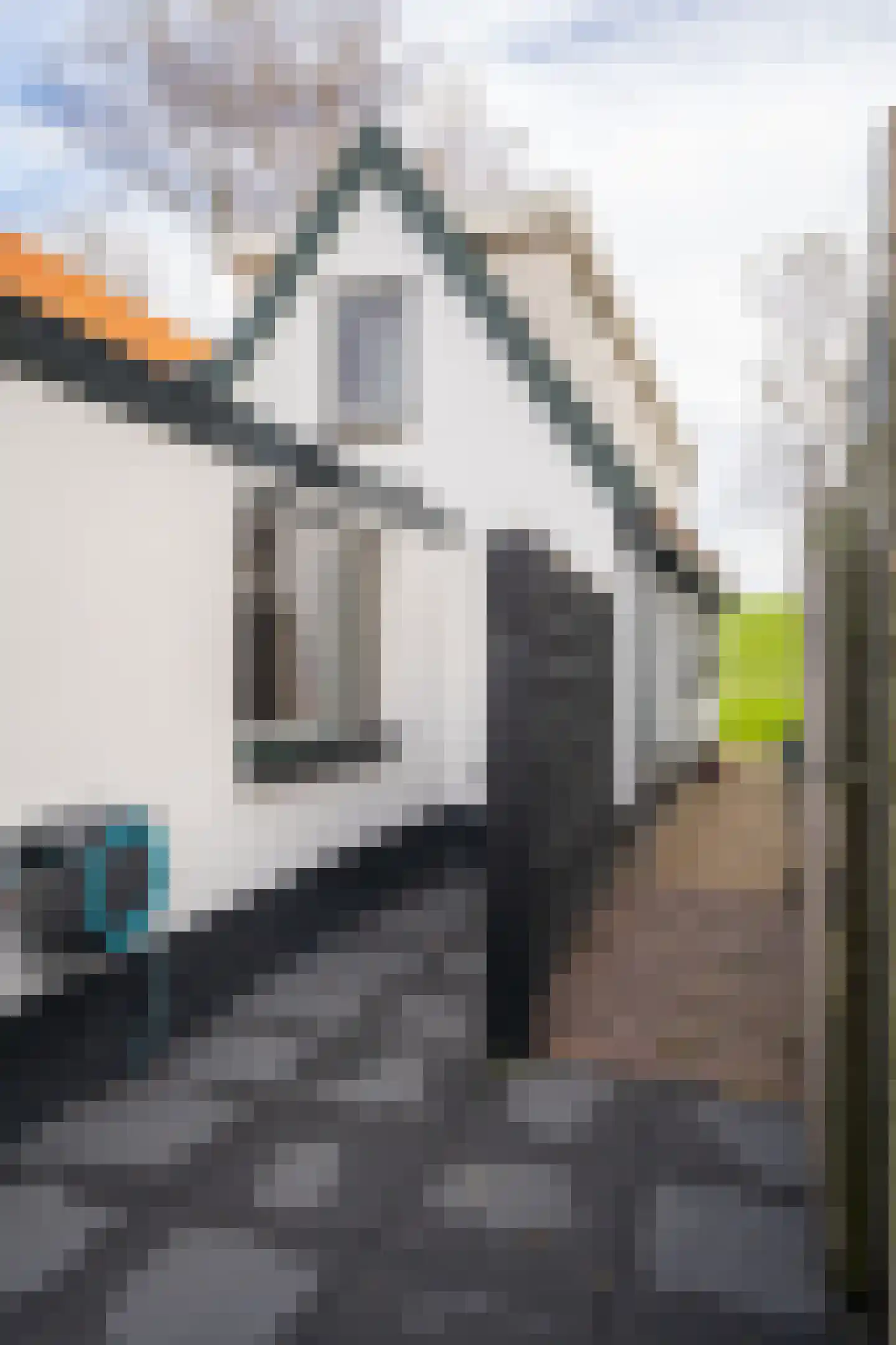 De Ruyterstraat 58 Oudeschild thumbnail 36