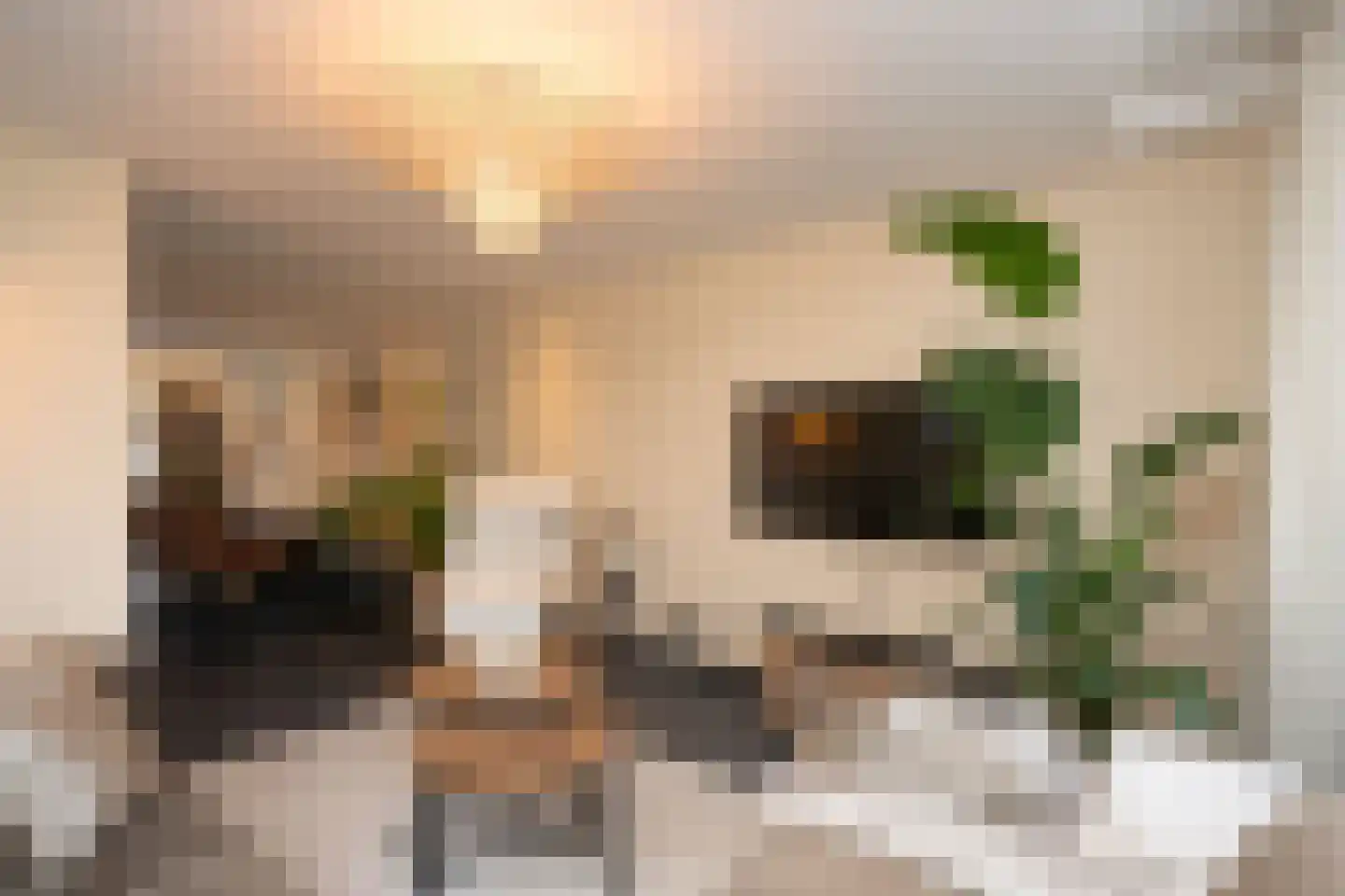 De Ruyterstraat 58 Oudeschild thumbnail 7